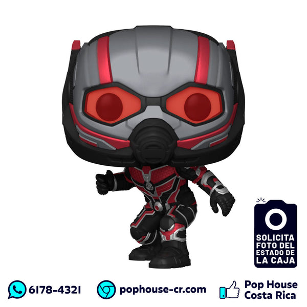 Ant-Man 1137 (Ant-Man and the Wasp: Quantumania – Marvel) Funko Pop!